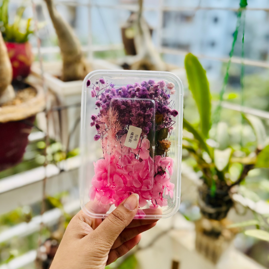 Dried Flower Box 15