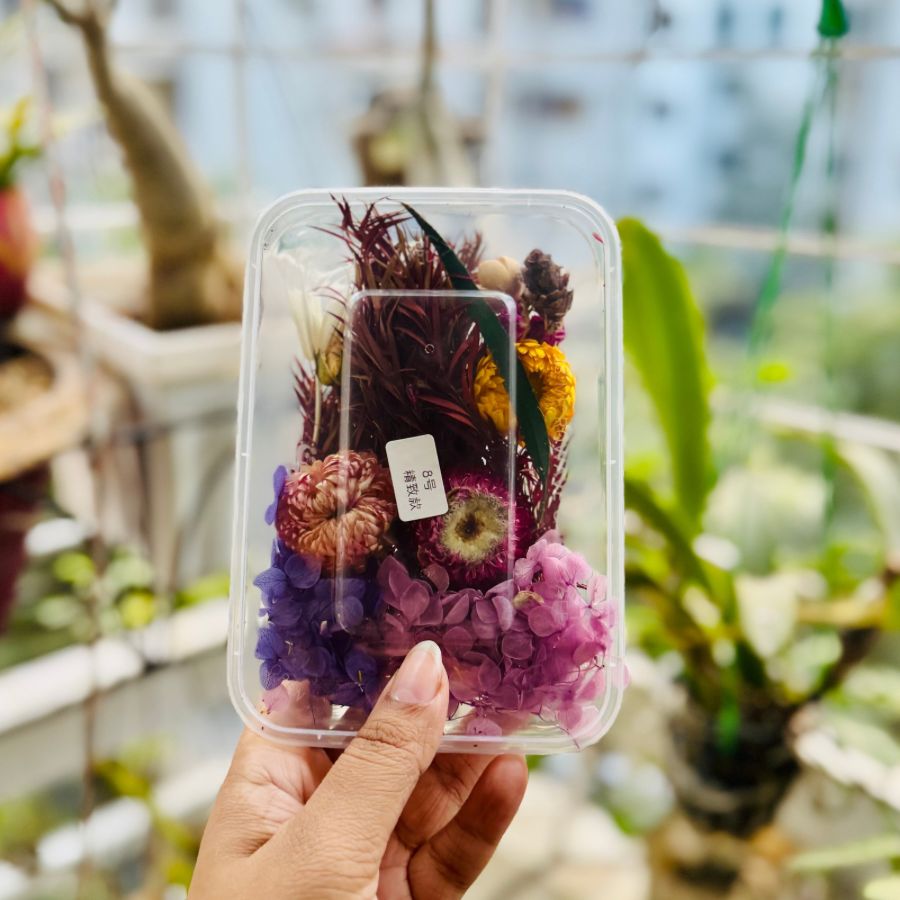 Dried Flower Box 8