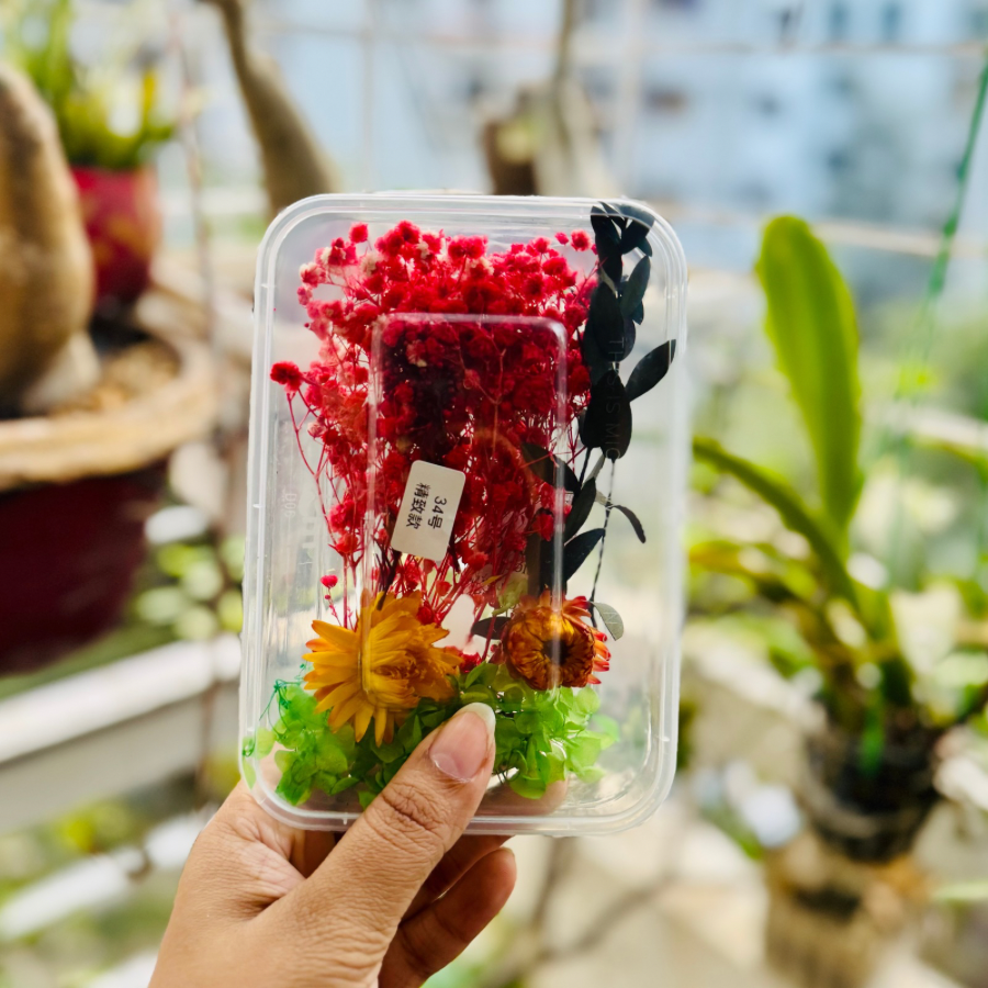 Dried Flower Box 34