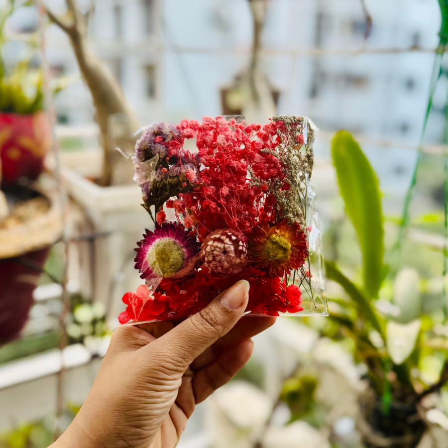 Red Bag Immortal Flower Pack