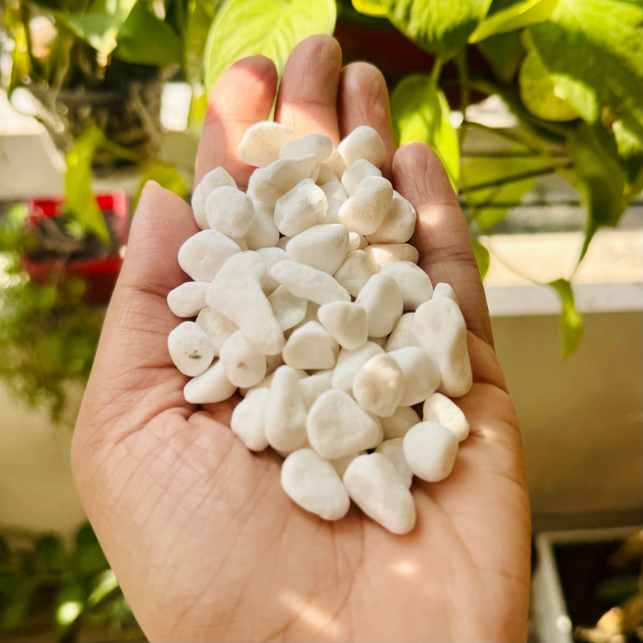 Premium Natural White Stones (৯-১২ মিমি) – Smooth Decorative Pebbles for Resin Art, Terrariums, Gardening & Home Decor