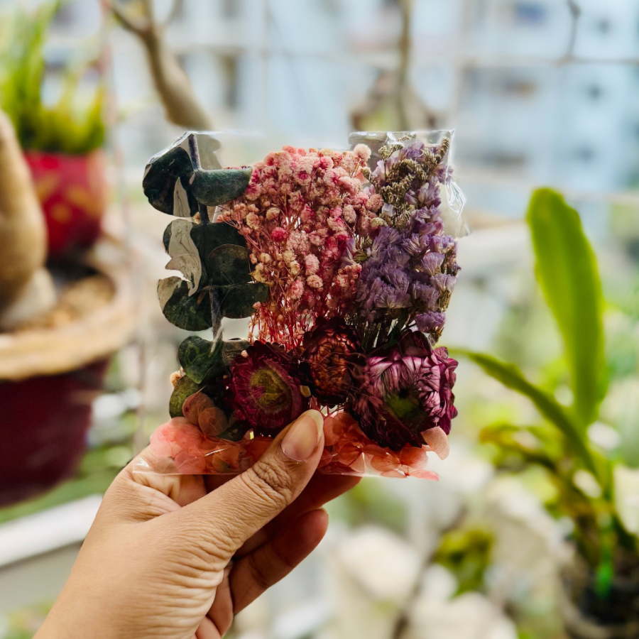 Pink Bag Immortal Flower Pack