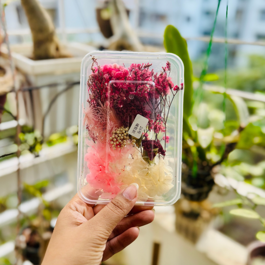 Dried Flower Box 26