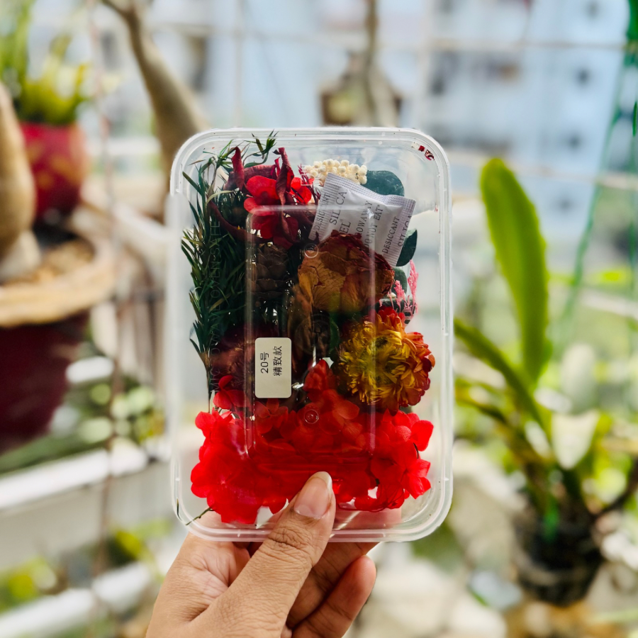 Dried Flower Box 20