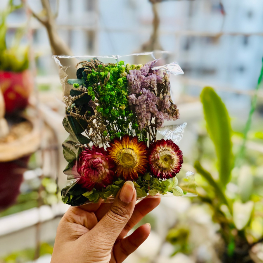 Green Bag Immortal Flower Pack