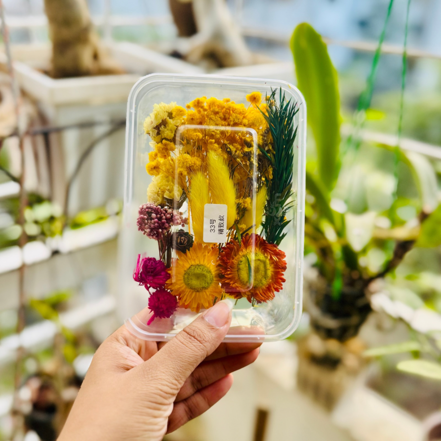 Dried Flower Box 33