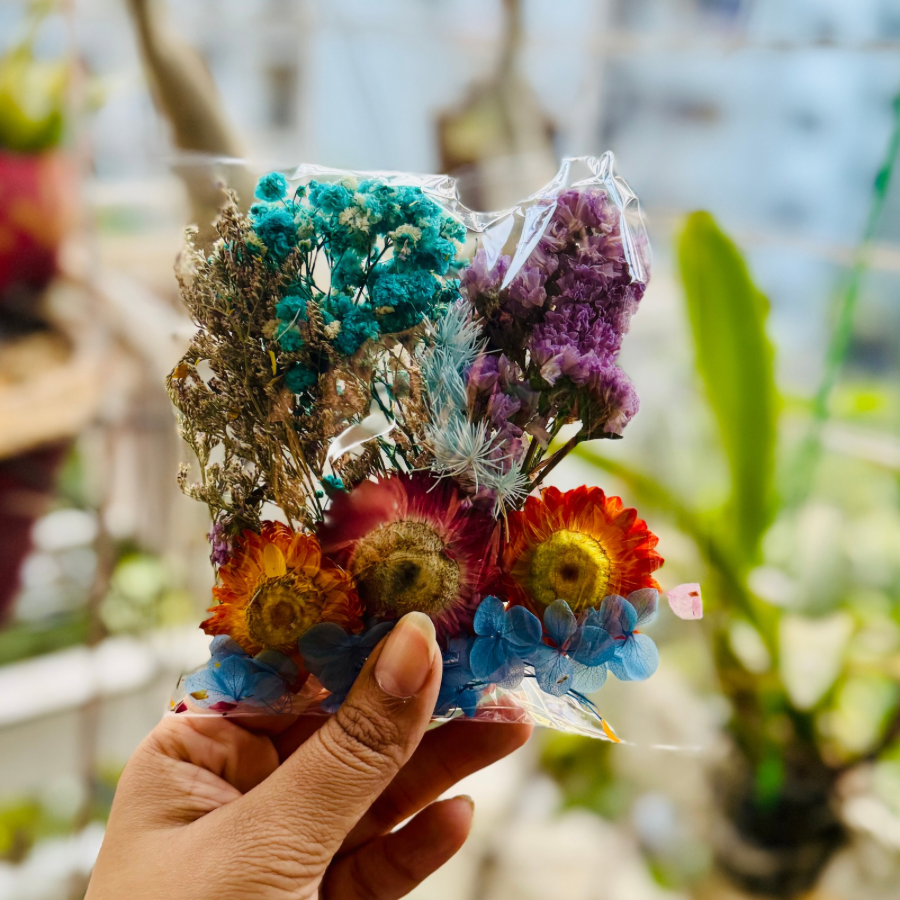 Blue Bag Immortal Flower Pack